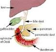 <b>Sphincter</b> of <b>Oddi Dysfunction</b>