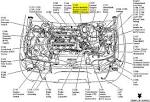 How to removing my IMRC motor ford escort 1997 - JustAnswer