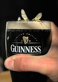 Fishing | The Enigmatic Angler