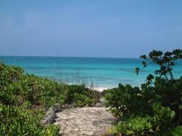 Tay bay - Picture of Eleuthera, Out Islands - TripAdvisor - tay-bay