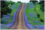 Texas Hill Country | All... for the Love of Bikes