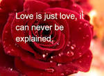 Lovely VALENTINES DAY QUOTES - Created by Maira Khan - In.