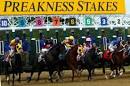 PREAKNESS STAKES: OXBOW SURPRISE - Transgap Executive.
