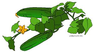 Free Biology Clip Art by Free Biology Clip Art by