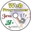 Java e Web programação