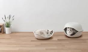 With its pulp materials, the \u0026quot;shell\u0026quot; has a homely, gentle ambience that will fit in within any domestic environment. Cat Shell by Oppo - cat-shell-oppo-pet-bed-1