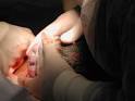 aparelho <b>genital feminino</b>,