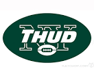 The New York Jets lost to the