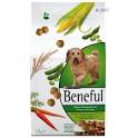 Have you given your dogs beneful dog food? - BabyGaga