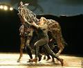 WAR HORSE: Horse play is no puppet show - Telegraph