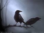 Raven desktop wallpaper