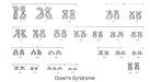 extra <b>chromosome</b> from the