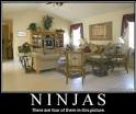 Ninja Living Room Demotivational Graphic