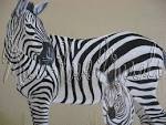 Picture: Africa Jungle Zoo Animals Mural Decorating Ideas Decor ...