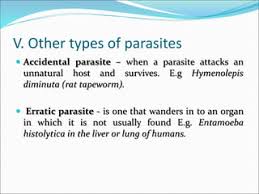 Image result for erratic parasite
