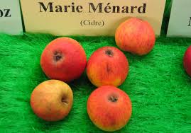 Marie Ménard - Les Mordus de la Pomme - Marie_Menard