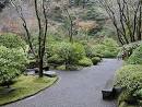 Japanese Garden Design | Small Yard Landscaping Ideas