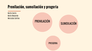 Image result for Prenilación