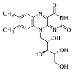 which <b>flavins</b> are derived