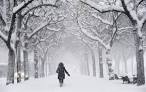 Stupendous Snow, Colossal Cold! | WOODTV.com Blogs