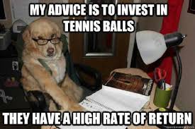 Financial Advice Dog is here