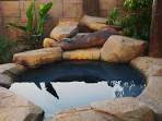 Pool, Backyard Jacuzzi Ideas With Stone For Relaxing Outdoor ...