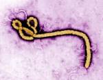 Close to Home: First Case of Ebola Diagnosed in U.S., CDC Confirms.