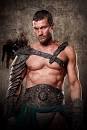 Andy Whitfield's Unofficial