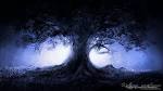 City Night Photography - Cities Wallpapers