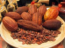 Trái cacao - trồng nhiều ở Miền Tây Nam Bộ Images?q=tbn:ANd9GcSJN6Q-D1NW853Ob826sDCS7VEdCb53EZtTzanSVTHyqDQgzug&t=1&usg=__hYsOQUr10kjvA8Iv2dMLFezNVno=