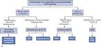 ScienceDirect.com - EMC - Pediatría - <b>Enfermedades</b> de <b>la corteza</b>