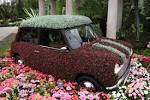 RHS Chelsea Flower Show 2013 - preview | Radio Times