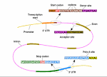 Eric Xing's Research Interests