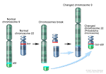 <b>Philadelphia chromosome</b>