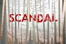 ABC SCANDAL Season 4 Casting Call for Stand-