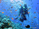 Full live Aboard Diving Cruise (Central Islands) + Land ...