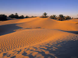 صحراء الجزائر الغالية Images?q=tbn:ANd9GcSVd8rtdHUpcmXH-l7xNsdYdmg4GrGgUu2fdlrqrk3tti7PnXY4_Q