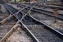 TRAIN LINE crossing | Stock Photo | iStock