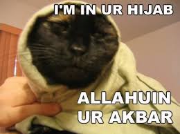 Tags: kitty | cat | hijab | Tags: kitty | cat | hijab |