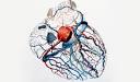 <b>Doenças</b> da <b>Pele</b> e do <b>Tecido Conjuntivo</b>