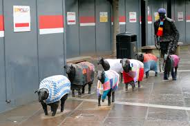 Hall yarn bombed Hall yarn bombed