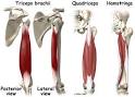 When it comes to <b>muscle cramps</b>