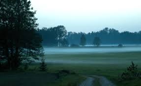 Nebel im Paartal - Bild \u0026amp; Foto von Erich Eibach aus Landschaft ...