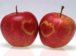 من فوائد صحية لتناول التفاح Images?q=tbn:ANd9GcSZ-8IOY8Mpx3pPrj-9wl24Dy4AX7VQBpMgpvBFYfTmLocdjOOq4w
