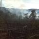 “Manos criminales” provocaron cuatro incendios forestales en ... - Vanguardia Liberal