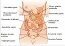 Causas de <b>dor abdominal</b>.
