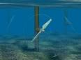 DailyTech - Huge Tidal Turbine Could Soon Grace Coasts