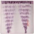 Penniform Purple Line Curtain - contemporary - shower curtains ...