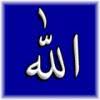 http://t1.gstatic.com/images?q=tbn:ANd9GcSiFGVqCC4M3aGWRnQ9cAczx_CygMsYvTKdml0TkQNZ04-luAhP