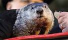 Punxsutawney Phil predicts an early spring on Groundhog Day 2011 ...